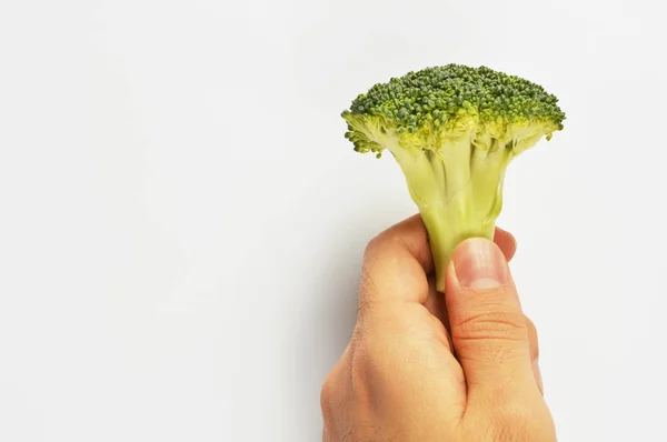 Brocoli Main Isolé Sur Blanc — Photo