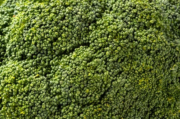 Fechar Fundo Brócolis — Fotografia de Stock