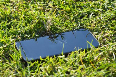 Çimenlerin üzerinde akıllı telefon