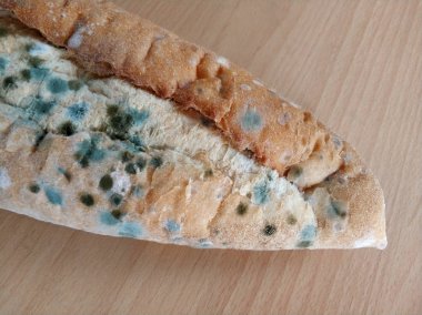 Ahşap masa üstünde küflü ekmek yiyecek