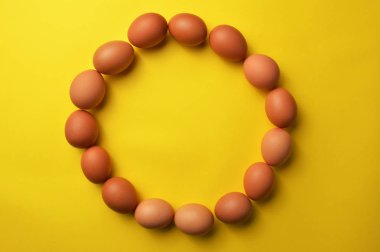 Sarı arka planda daire şekli kahverengi yumurta