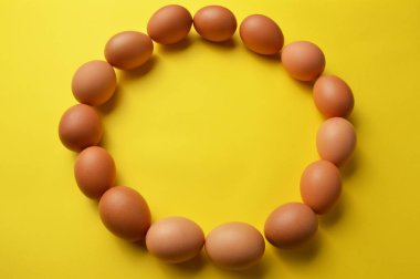 Sarı arka planda daire şekli kahverengi yumurta