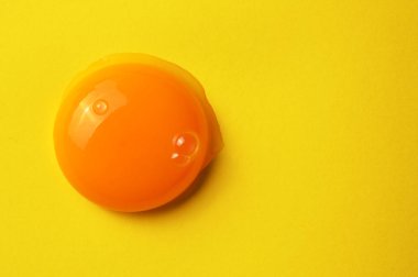 Çiğ yumurta sarısı Sarı zemin üzerine