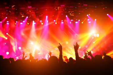En sevdikleri grubun konserinde ellerini kaldıran insanlar. Kalabalık bir gösteri izliyor.