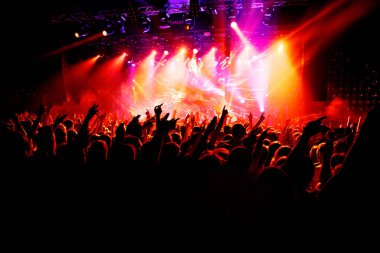 En sevdikleri grubun konserinde ellerini kaldıran insanlar. Kalabalık bir gösteri izliyor.