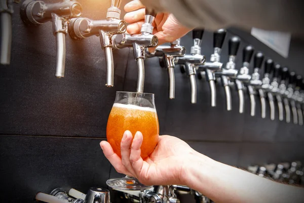Bartender pouring the fresh beer in pub, Close up of male hands of barman. He is holding a glass and taping beer.
