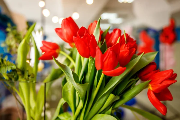 Bouquet of red spring tulips in office space