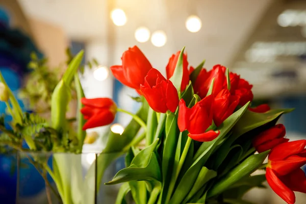 Bouquet of red spring tulips in office