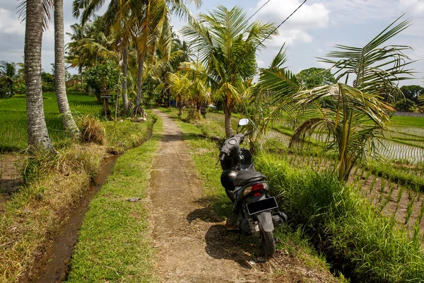 Scooter Jalan Latar Belakang Bali — Stok Foto