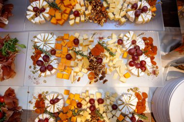 Etkinlik için tabakta çeşitli peynirler