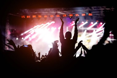 Kalabalık bir müzik gösterisinden hoşlanıyor. Siyah siluet