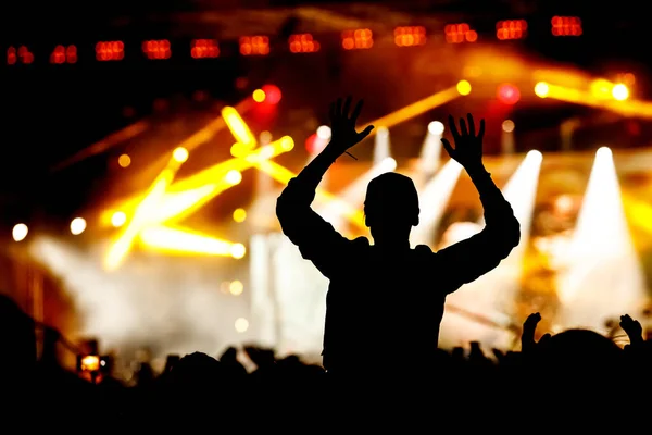 Silueta Hombre Con Las Manos Alto Concierto Multitud Espectáculo Música — Foto de Stock