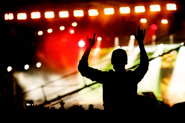 在音乐会上高举双手的人的轮廓 音乐节目中的人群 — 图库照片