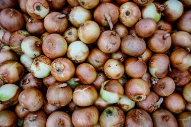 Çok soğan, üst görünüm arkaplan