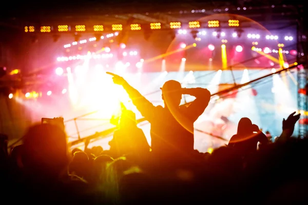 Девушка Наслаждается Музыкальным Фестивалем Концертом Чёрный Силуэт Толпы — стоковое фото
