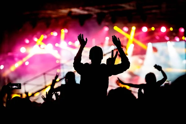 Mädchen Genießen Ein Musikfestival Oder Konzert Schwarze Silhouette Der Menschenmenge — Stockfoto