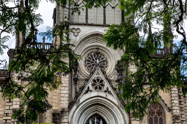 Fachada Una Catedral Gótica Marco Árboles — Foto de Stock