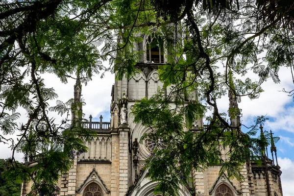 Façade Une Cathédrale Gothique Dans Cadre Arbres — Photo