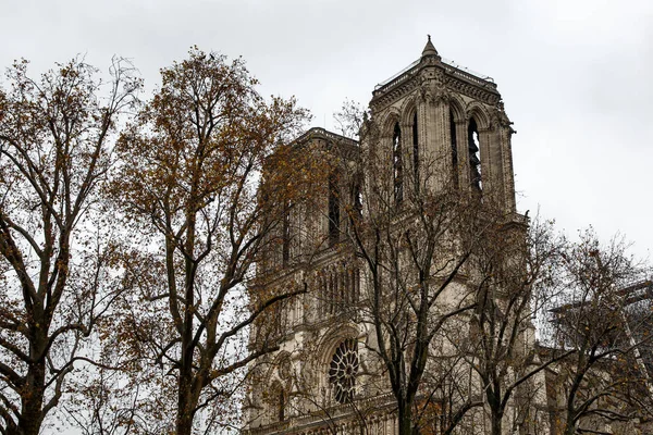 Parijs Frankrijk 2019 Notre Dame Kathedraal Parijs Frankrijk Laat Takken — Stockfoto