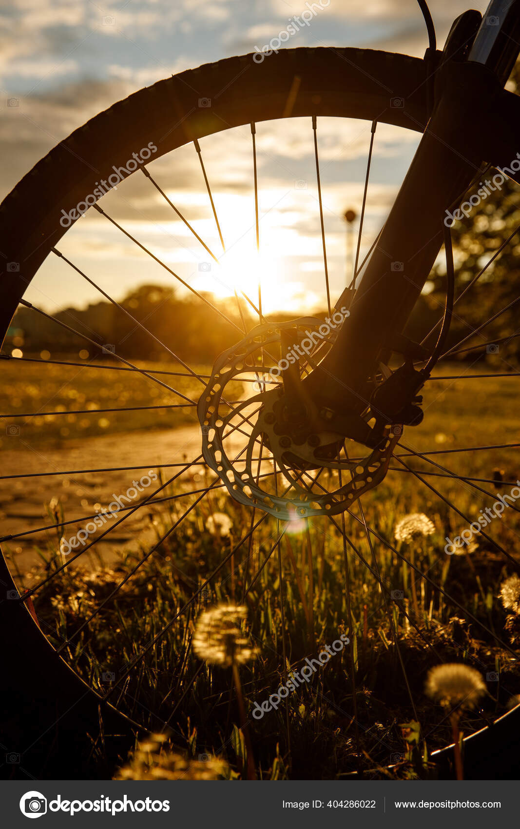 Bicycle wheel in the field at Close-up of a hydraulic brake