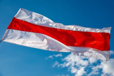 Yeni Beyaz Rusya beyaz-beyaz bayrağı. Protesto ve tarihi özgün bayrak.