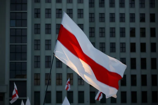 Nowa Białorusko Czerwono Biała Flaga Protesty Autentyczna Flaga Historyczna — Zdjęcie stockowe