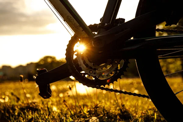 Pedały na rowerze. Gwiazdka kontrolna prędkości zbliżenia o zachodzie słońca — Zdjęcie stockowe