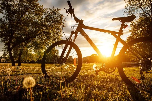 Rower sportowy na polu o zachodzie słońca. — Zdjęcie stockowe