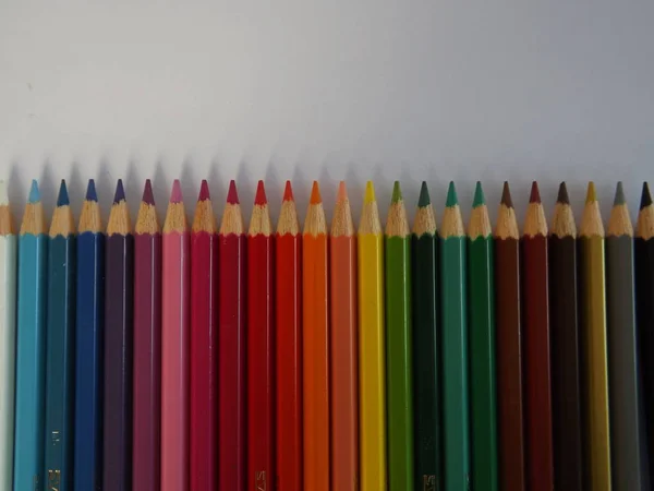 Line Different Coloured Pencil Crayons — Stock Photo, Image