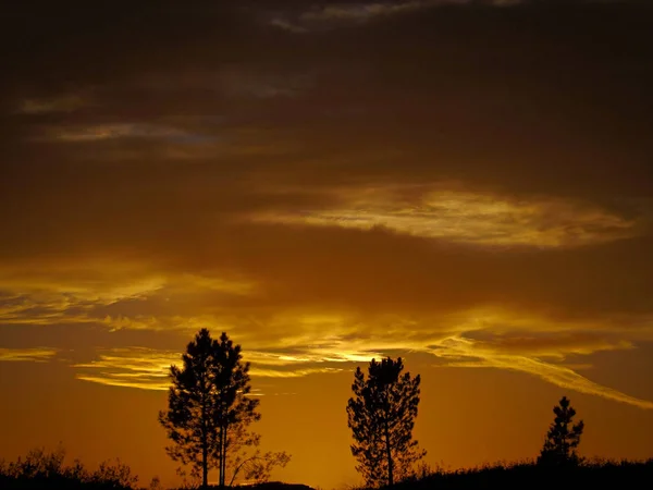 Nuances Jaunes Colorées Lumière Soleil Dans Ciel Nuageux Coucher Soleil — Photo