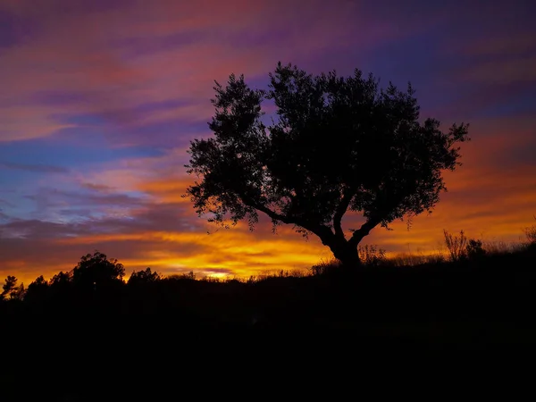 Barevné Odstíny Fialové Modré Žluté Sluneční Sunsetting Zatažené Obloze Silhouetting — Stock fotografie