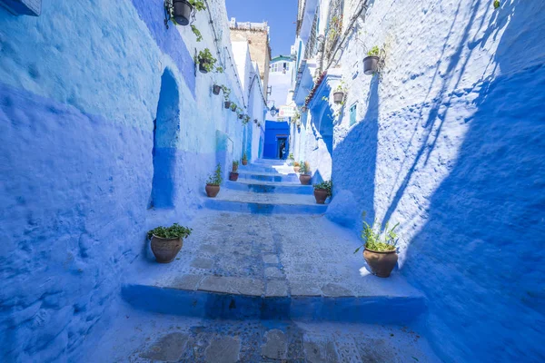 Beautiful view of the blue city in the medina of CHEFCHAOUEN, MOROCCO. Traditional moroccan architectural details and painted houses. street with flowers and bright blue walls with arch