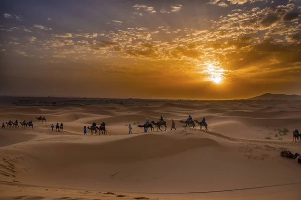 Kervan deve turistlerin Sahra Çölü Merzouga, Fas - küçük kasaba Erg African - kum tepeleri kasabanın kuzeyindeki büyük genişlik için bir ağ geçidi olarak bilinen yakınındaki girmeden. Günlük yolculuk macera.