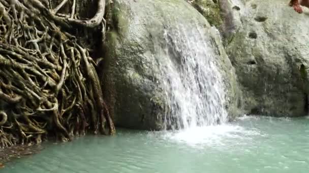 Νερό Πέφτει Στο Δάσος Νερό Ρέει Ρεύματα — Αρχείο Βίντεο