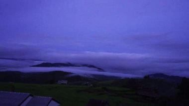 Kuzey Tayland 'ın pirinç terasları