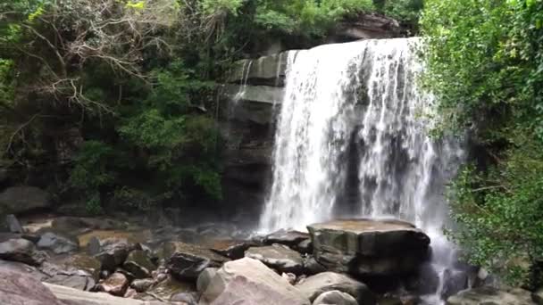 Hermosa Cascada Bosque Verde Disparar Por Velocidad Obturación Lenta Para — Vídeo de stock