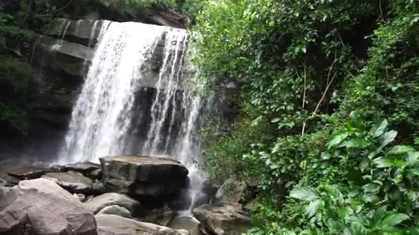 Cachoeira Bonita Floresta Verde Atirar Por Velocidade Obturador Lento Para — Vídeo de Stock