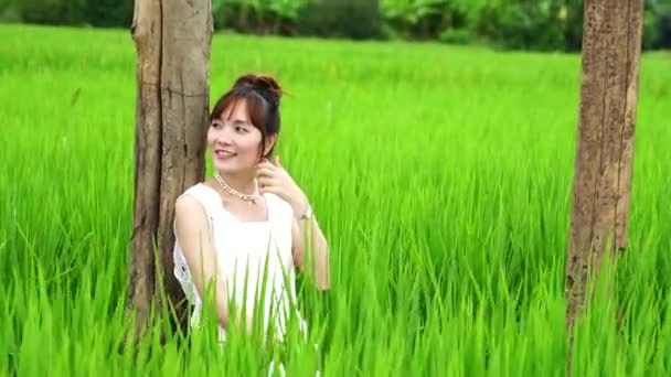 Hermosa Mujer Asiática Turista Con Vestido Admirando Las Terrazas Del — Vídeos de Stock