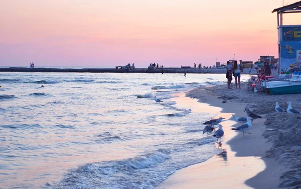 Sea beach in summer. — Stock Photo, Image