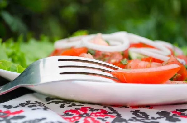 Salada Com Tomates Suculentos Alface Pepino Cebola Vermelha Arugula Endro — Fotografia de Stock