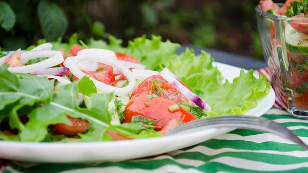 Salada Com Tomates Suculentos Alface Pepino Cebola Vermelha Arugula Endro — Fotografia de Stock