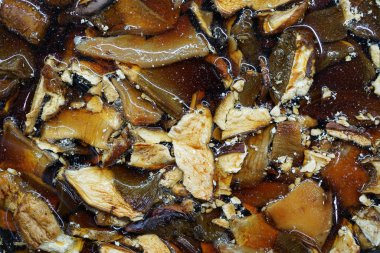 Makro çekimi. Çorbada lezzetli mantarlar