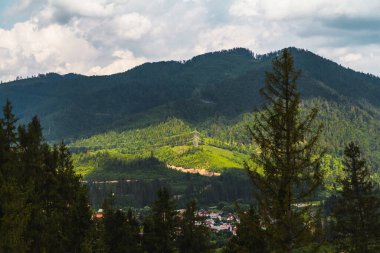 Dağların yamaçlarındaki kozalaklı ağaçlar ufukta batan güneşin arka planına karşı. manzara