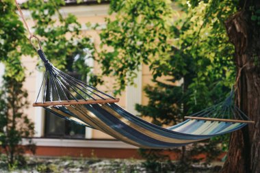 Hamak, ormanın ağaçlarına bağlı yaz tatili aile tatili şehir dışında
