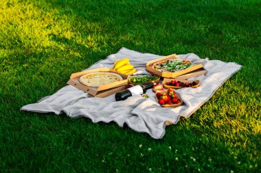 Açık havada piknik muzlar pizza çilekli çilekli şarap çimenlikteki beyaz bir paspasın üzerinde