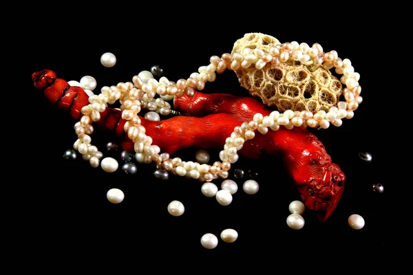 Collana, corallo, perle e conchiglie su fondo nero — Foto Stock