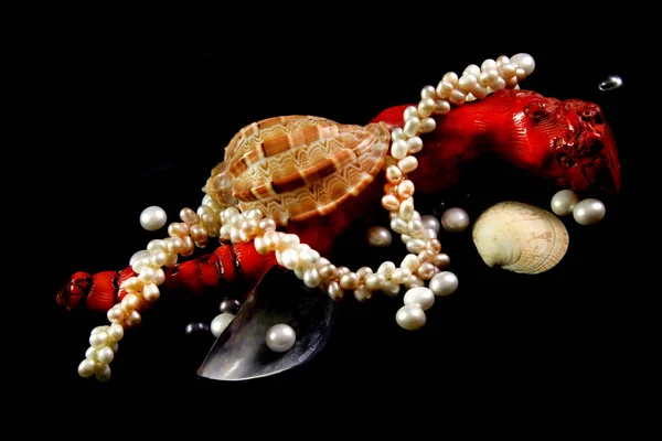 Naszyjnik, koralowy, perły i muszle na czarnym tle — Zdjęcie stockowe