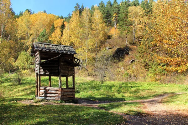 Gouden herfst in de regio van de Altaj in Rusland. Prachtige landschap - weg in de herfst bos — Stockfoto