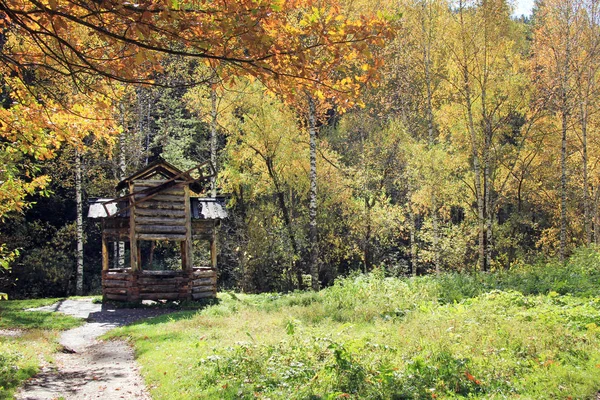 Gouden herfst in de regio van de Altaj in Rusland. Prachtige landschap - weg in de herfst bos — Stockfoto