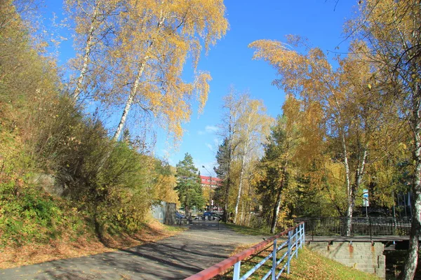 Outono dourado na região de Altai, na Rússia. Bela paisagem - estrada na floresta de outono — Fotografia de Stock